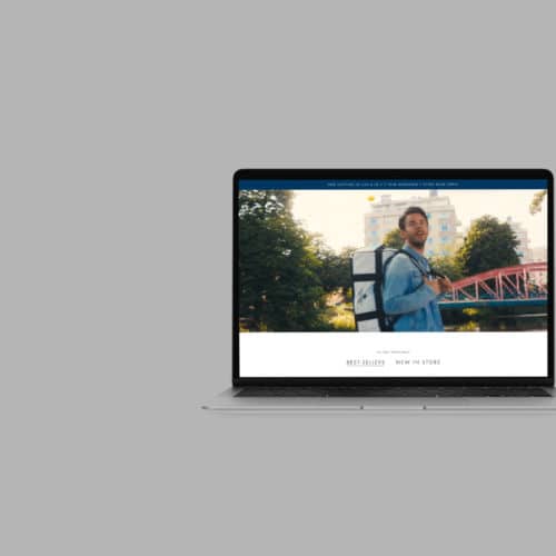 thefriendlyswede-hemsida-banner