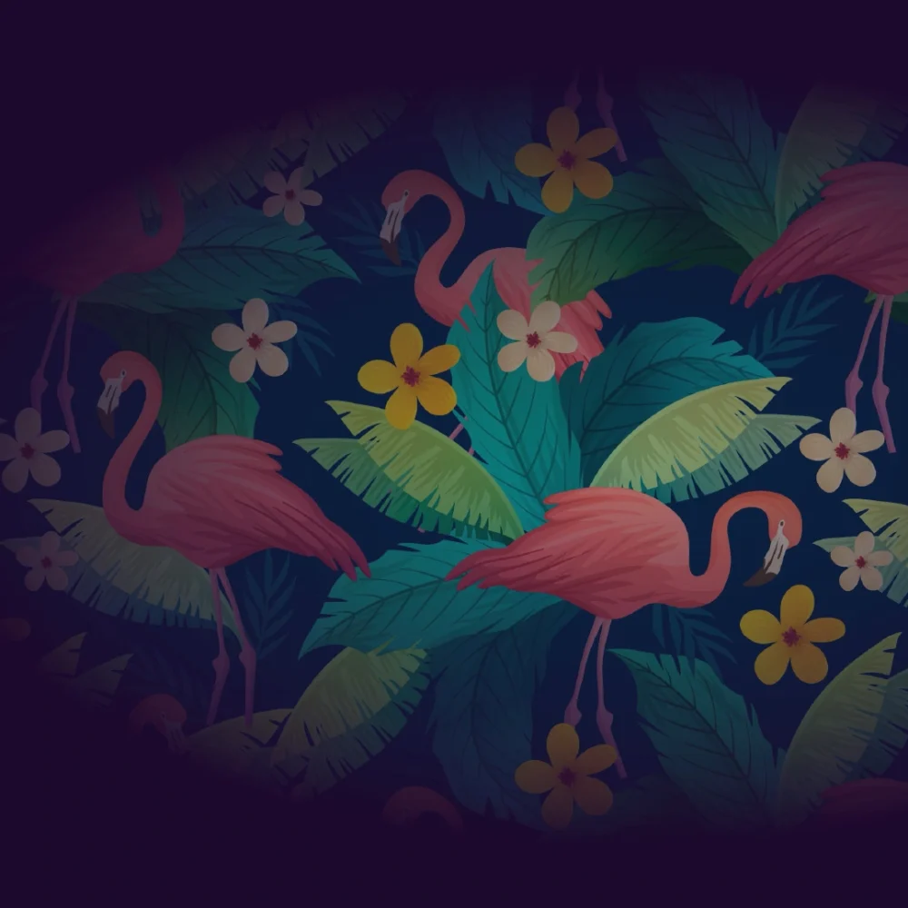 banner-4-data