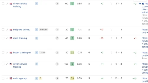 Bild som visar SEO resultat från Ahrefs