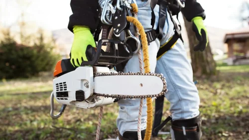 half img 2 Upplands Arborist