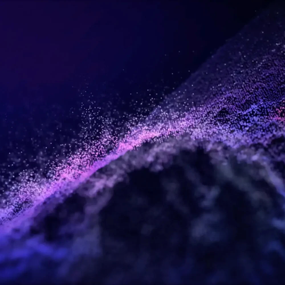 banner-wasabiweb-dreamformer-1